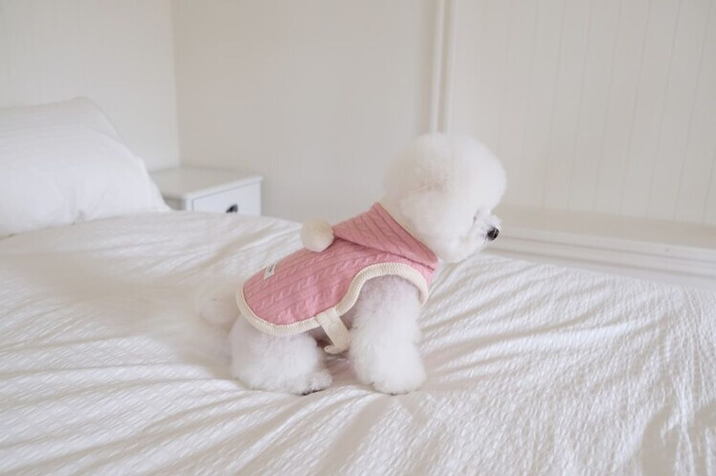 image_D72D027A-0A18-4219-88FF-32F761D8C781_1762456298