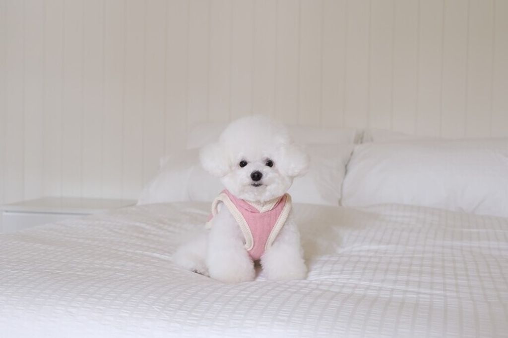 image_E3E2D994-DFDA-4FD0-A590-1FCFEFB34A37_1762456298