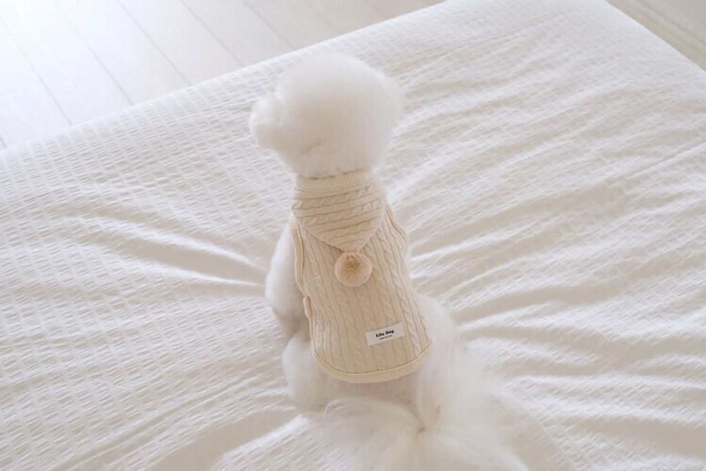 image_B4B01A09-43E2-4BFB-9076-88A3C1BE08EC_1762456298