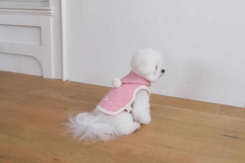 image_8B2C9253-9516-49AF-9199-6F07E3C49C27_1762456298