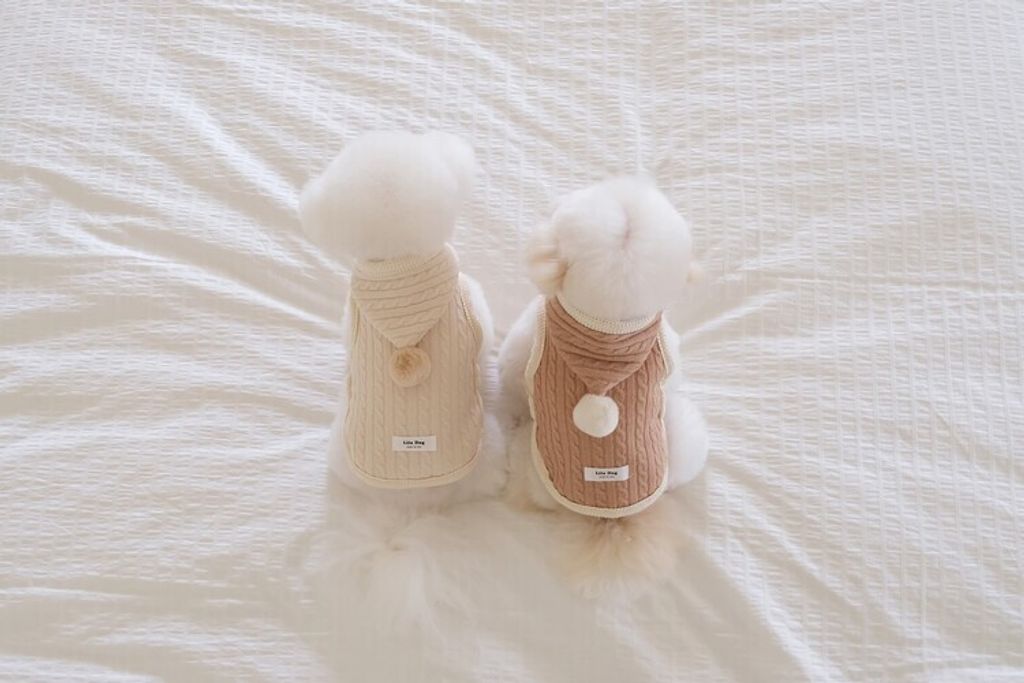 image_E1BE773D-7DEA-4067-A6F6-51AD2DBA23A2_1762456298