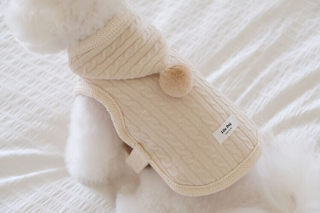 image_4E491854-B2D0-4EF2-BC01-55D69846F3E2_1762456298