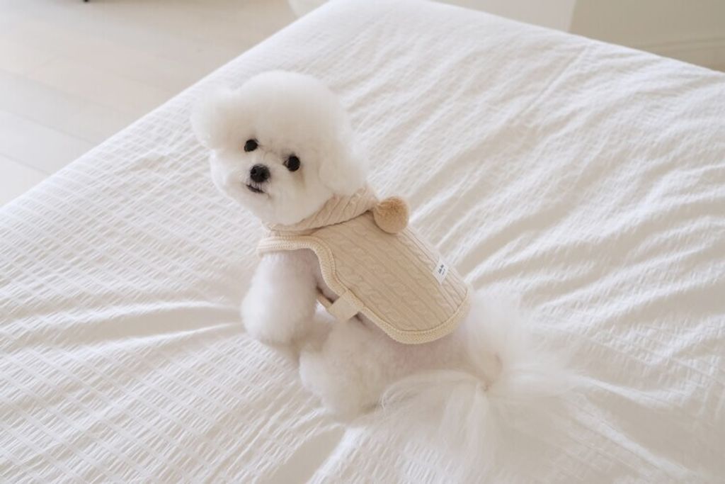 image_D563A48F-42A7-4DCA-B0A4-D4FDC2FC00E6_1762456298