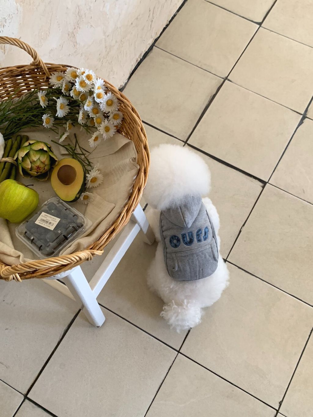 image_6EAC7C55-B837-4D7F-A5F2-357BEA72EC22_1762497099