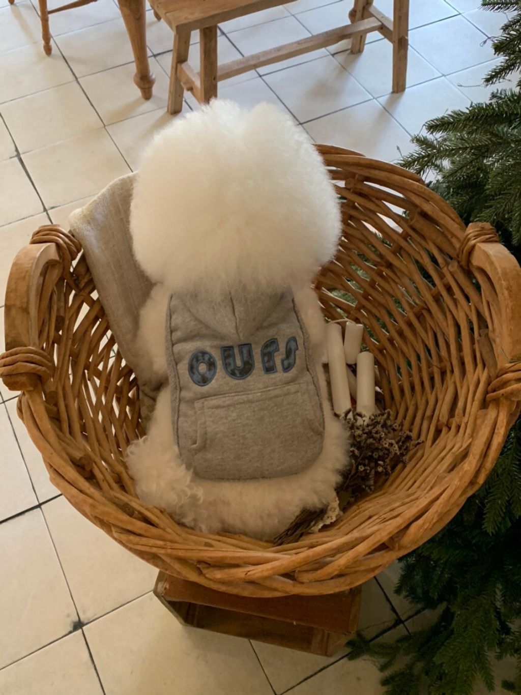 image_46F3C48D-9EE3-4337-8A55-C5A2154A9CAF_1762497099