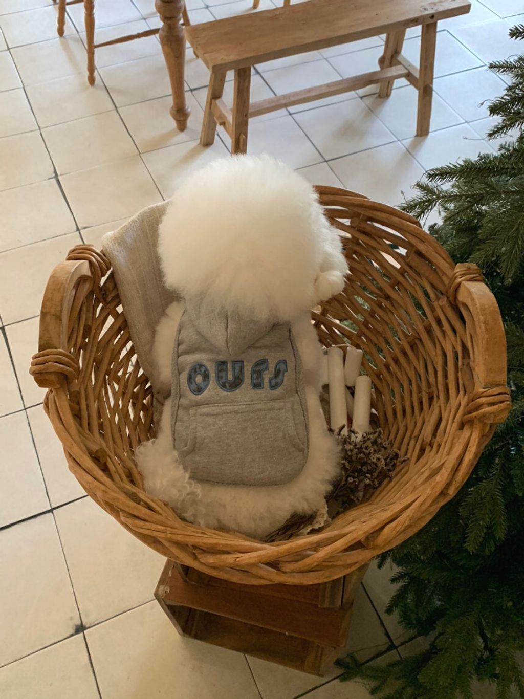 image_8754B21A-7EE4-447B-B535-0E73C7E93E82_1762497099