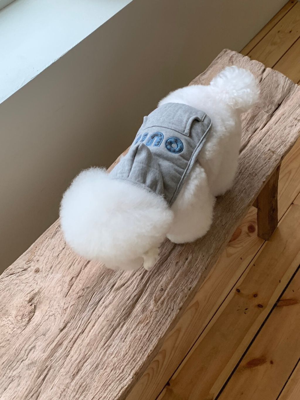 image_643851E1-8E81-45BB-AE58-A7F38B6A21F2_1762497099