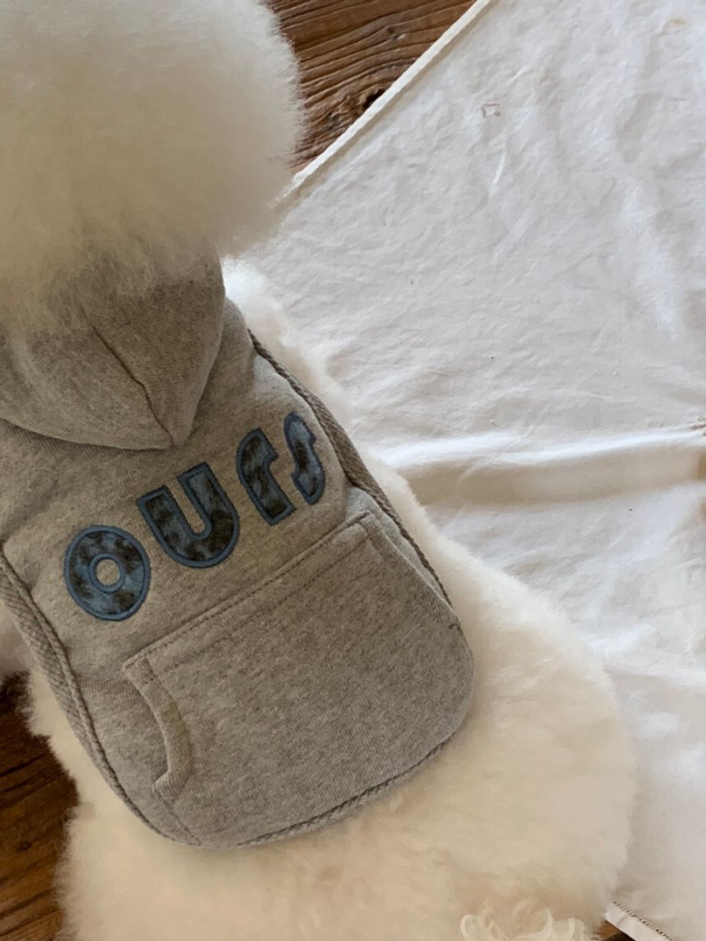 image_9DED4F04-7309-42A4-99F1-22A279BD7AA8_1762497099