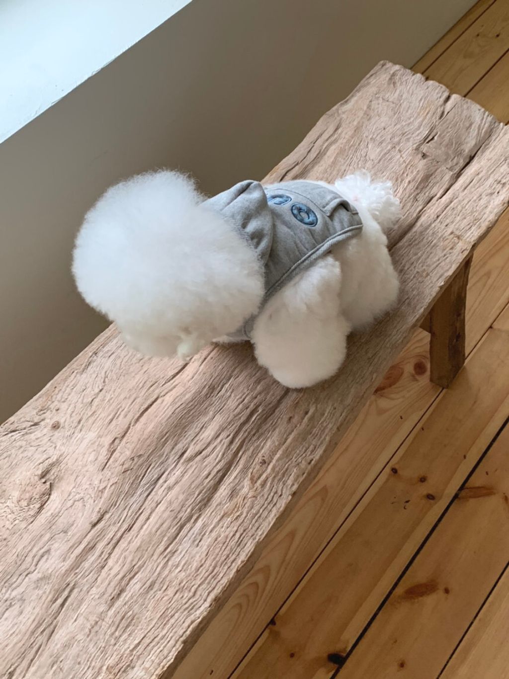 image_AA0F62C7-D104-485B-8765-03413731A8D4_1762497099