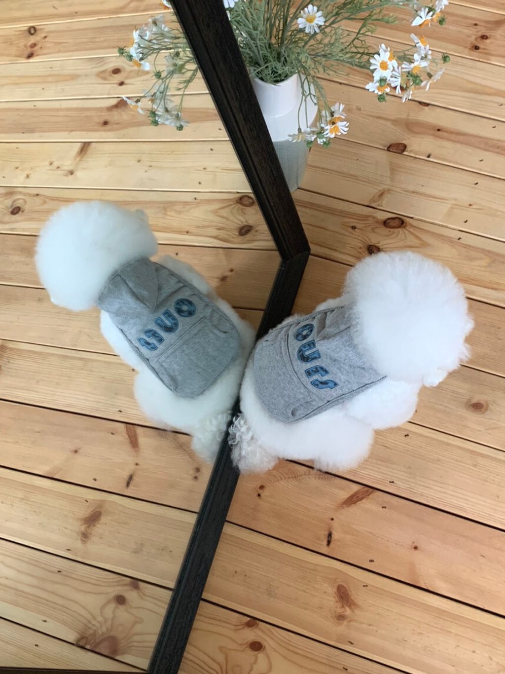 image_0E8E661D-E1FC-4948-BAE5-DAF005BF195E_1762497099