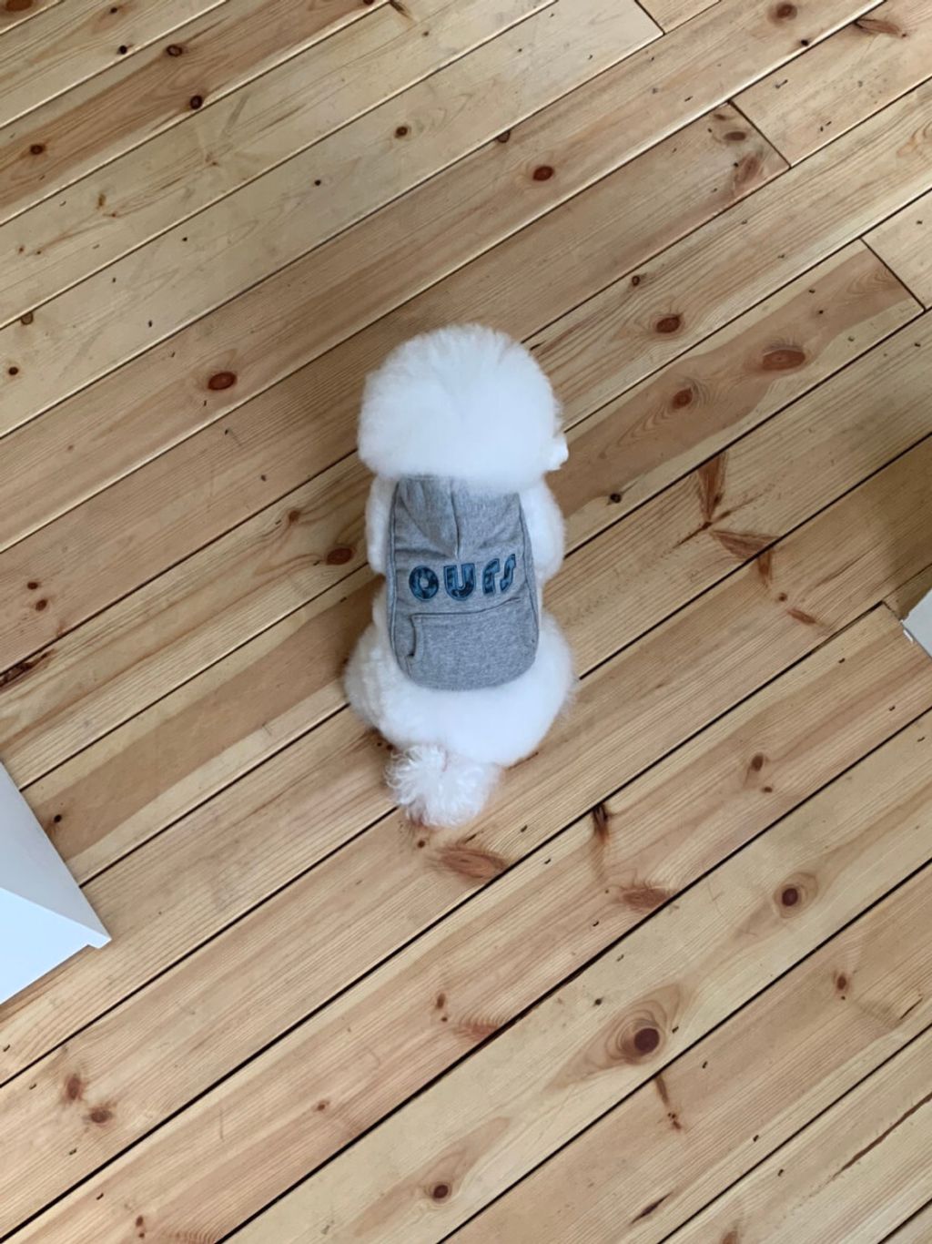 image_6E3E5938-34EA-4D4B-9091-0C717BB7A074_1762497099