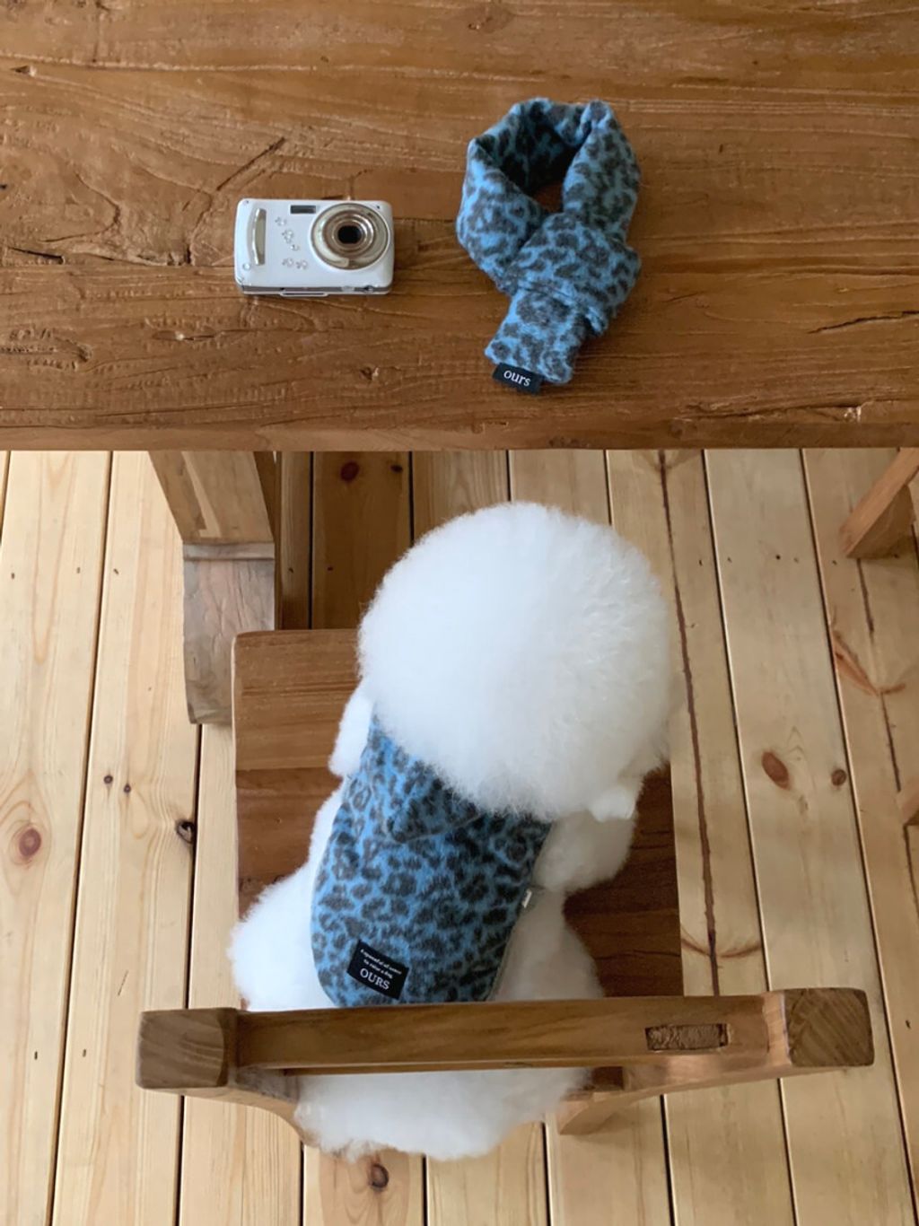 image_8BBA866A-DEF7-41AB-B9C2-1F0B7B4783E2_1762497099