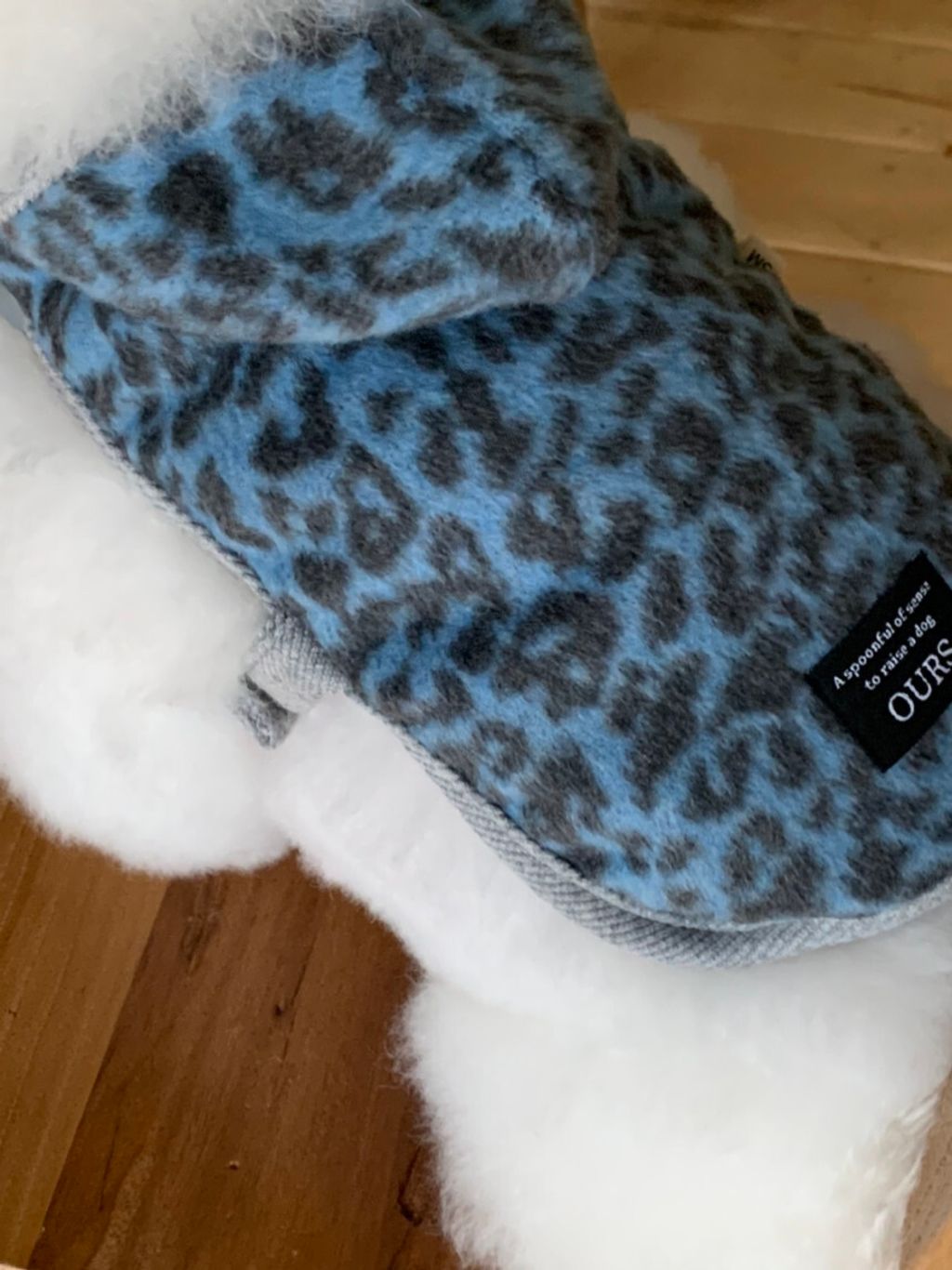 image_2023CD97-9DA4-4183-8936-AE491210DF4D_1762497099