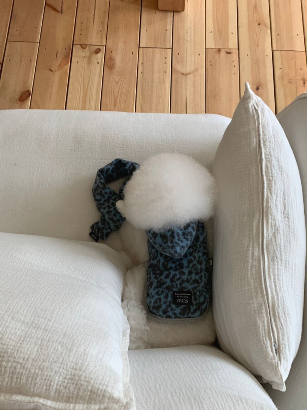 image_F261685A-6ACB-4909-9E5F-FB46A48394CE_1762497099