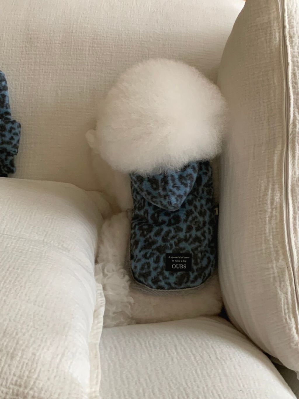 image_DD5E0B21-D8FC-46F8-994B-320E0AFCDF03_1762497099