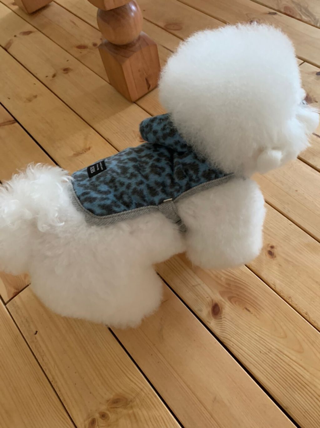 image_F24B2822-B68E-4E84-9A1E-0A0AE5AD9D2E_1762497099