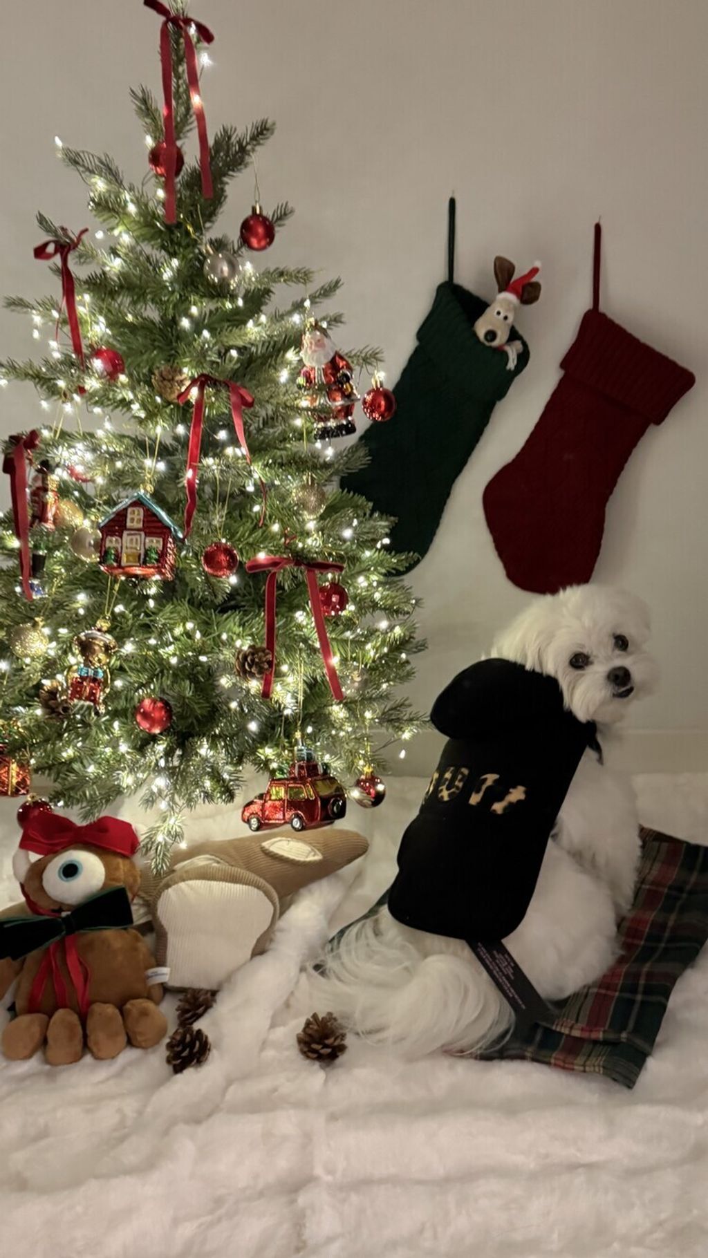 image_C24285EC-919E-4FA4-9346-50B5263EE81B_1762497099