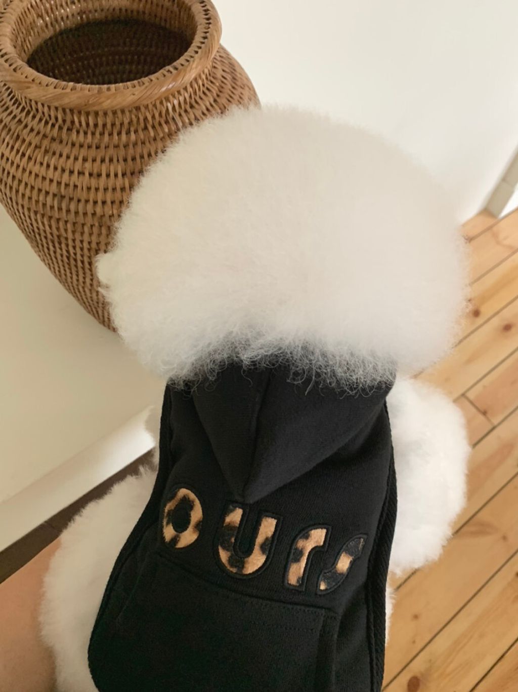 image_7211411A-22E3-4DEE-AD31-755EDC36E5CF_1762497099