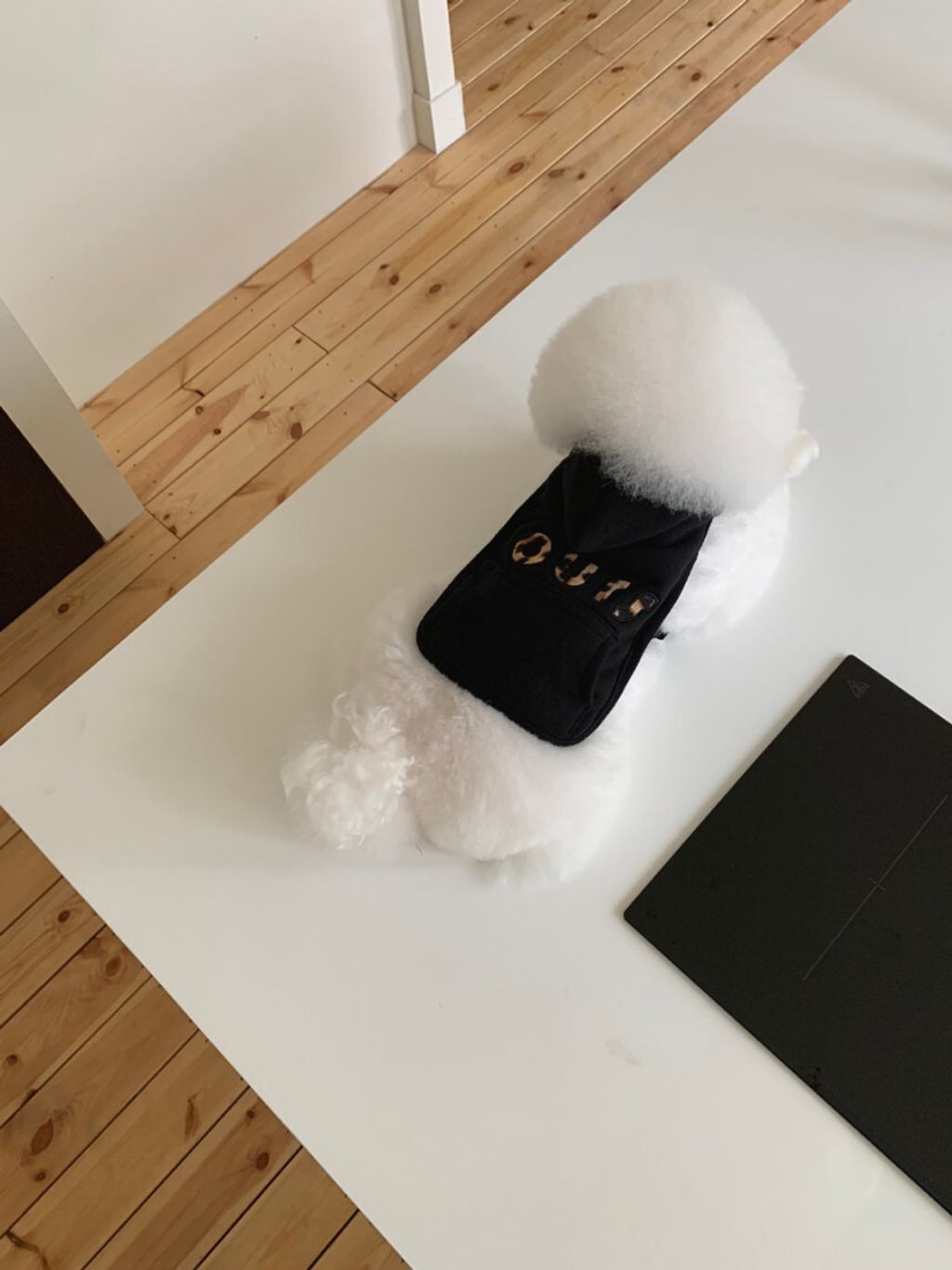 image_006979C6-4AE0-4559-83F7-882C68373E31_1762497099