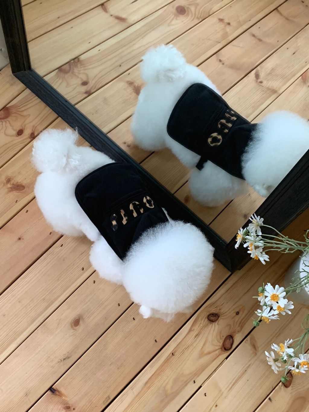 image_3C49040E-F08F-409D-BA61-86A30DB19D4F_1762497099