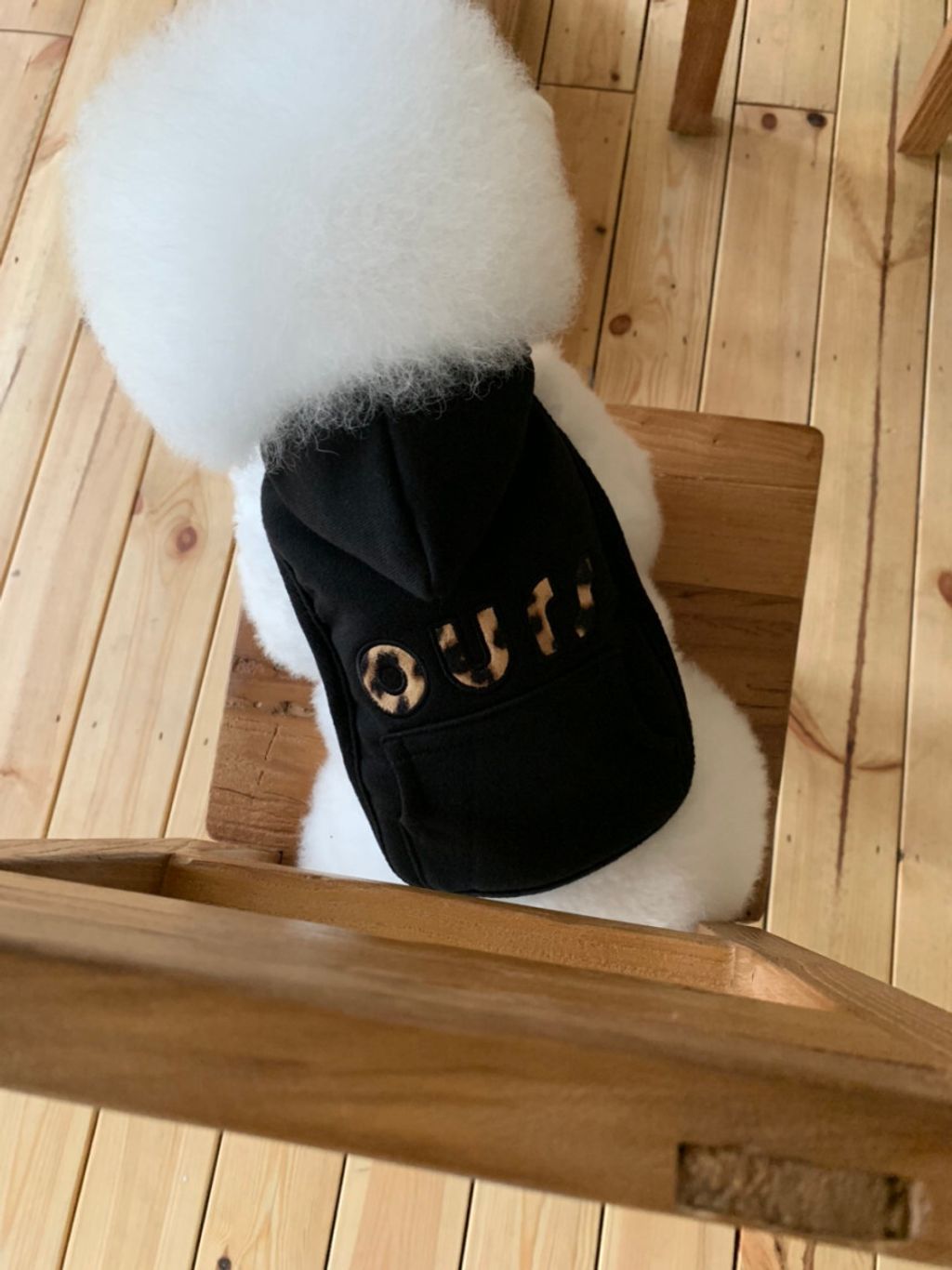 image_225883E6-520B-436C-ACE9-8065AAA09F9A_1762497099