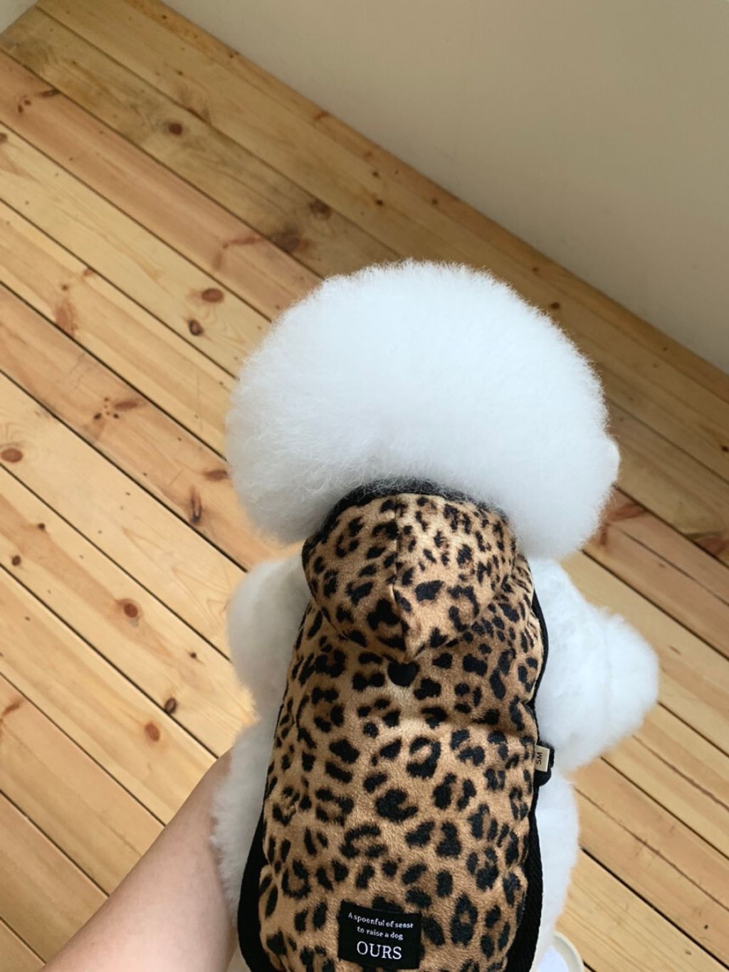 image_F7FFE2E3-7622-4A3E-92E3-CD175461E0CB_1762497099