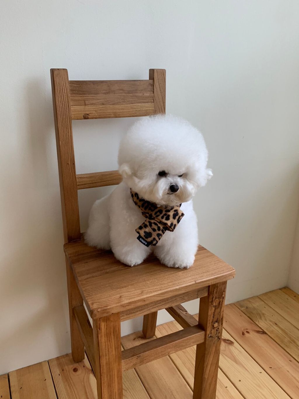 image_CB7FDB29-8E58-4D6D-A98C-EF21B57B0194_1762497437