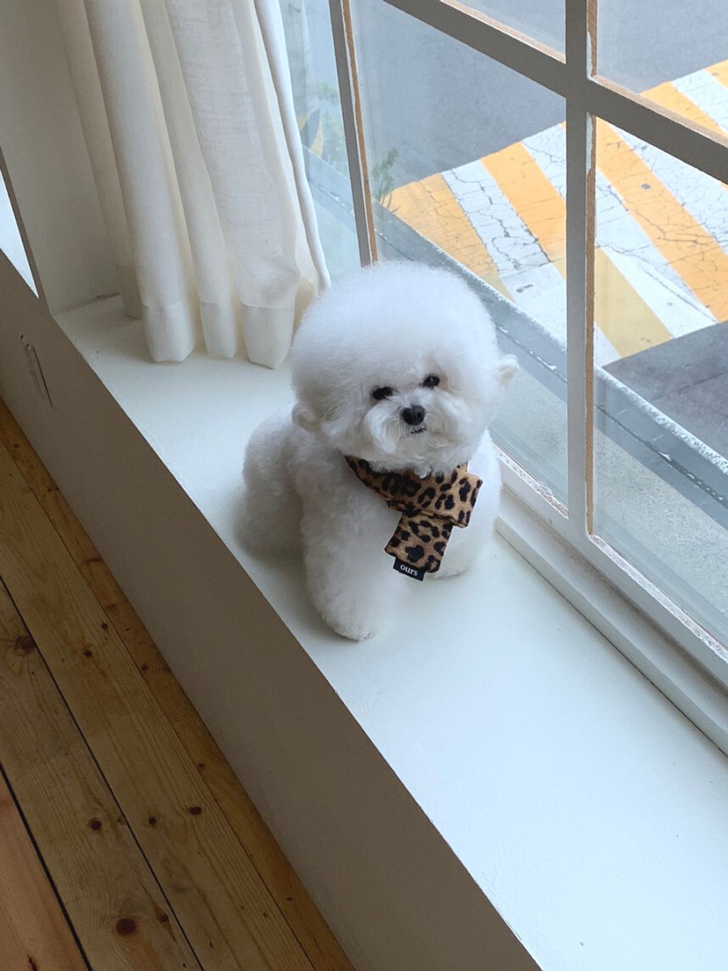 image_0EF215CE-D9B9-4709-807B-DA77E029B939_1762497437