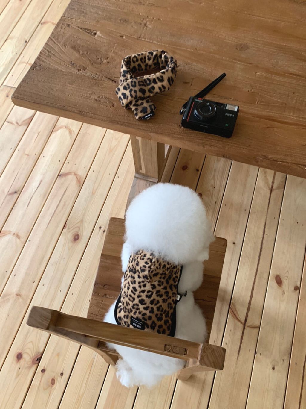 image_5DCC69C5-7A6F-4268-A916-60C853B95485_1762497437