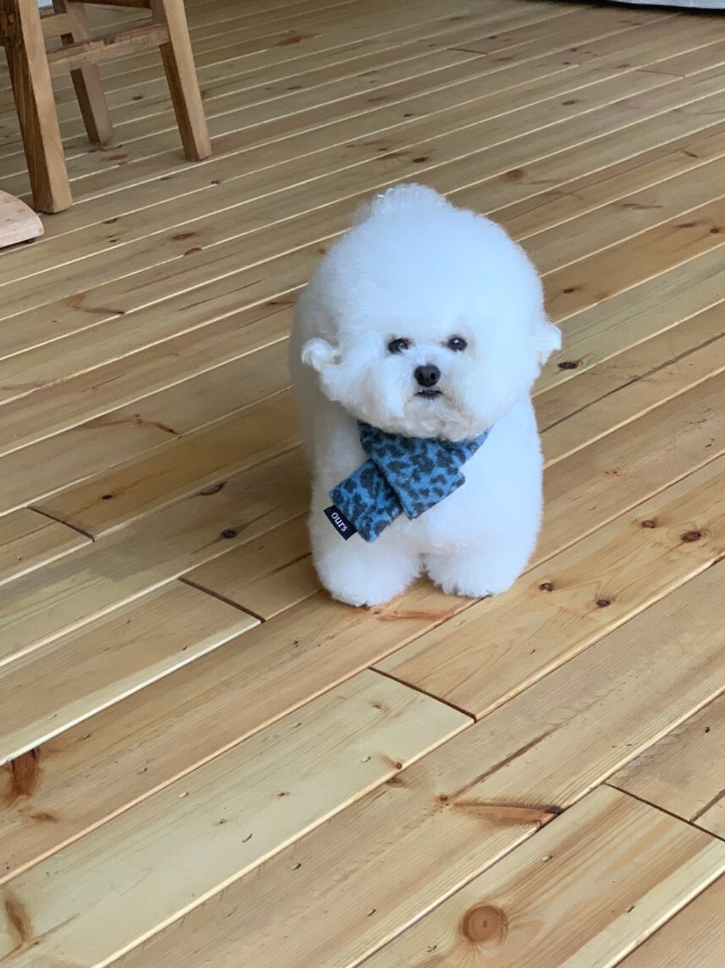 image_818760C2-B396-4FF2-B3A4-83730DC9D29B_1762497437