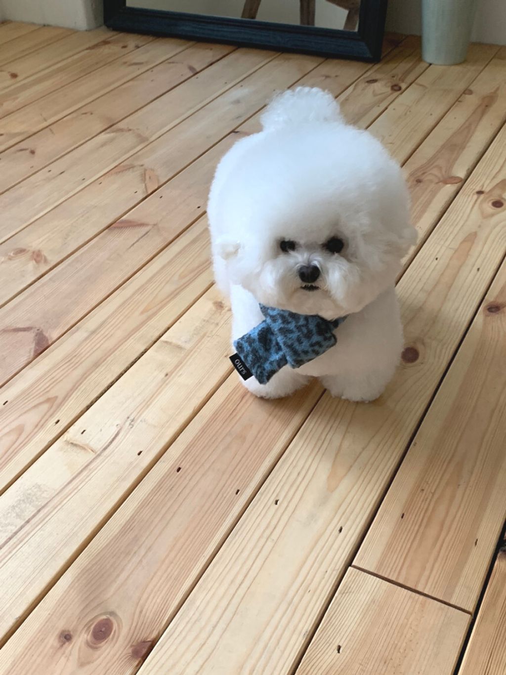 image_2E209D0B-3A23-47B0-A3CC-E3EE6C437953_1762497437