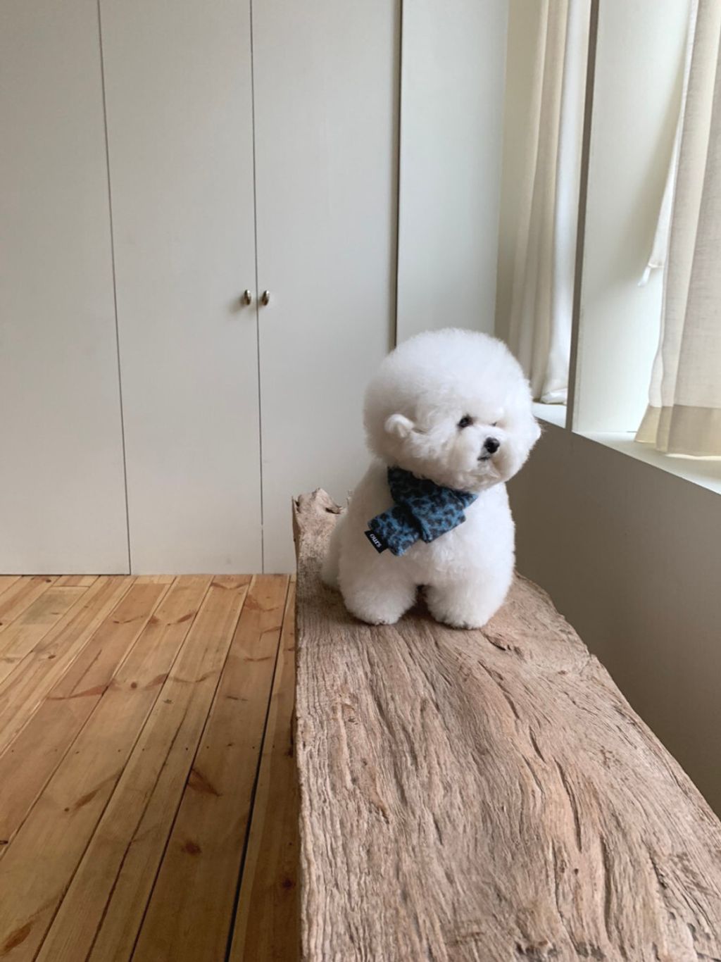 image_33E77F34-47D1-456D-AFAC-AB75B95579EC_1762497437