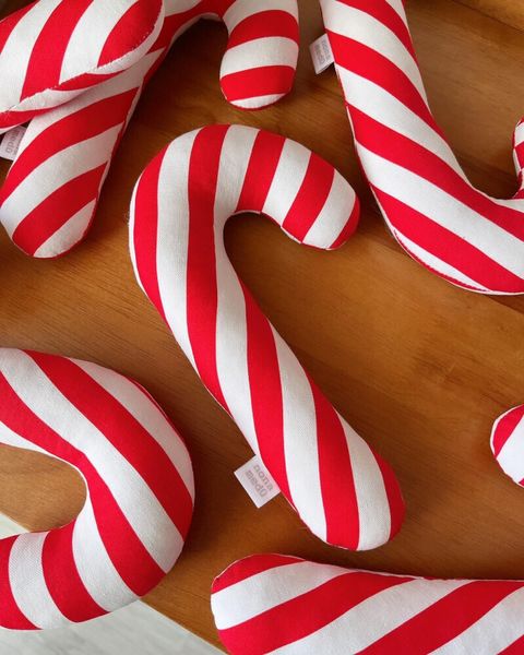 IMG_9409-1730989414226