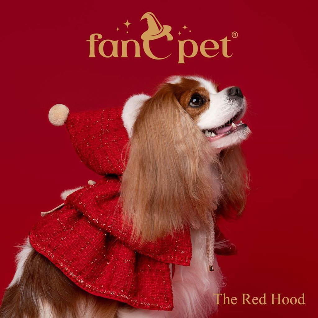 image_8BDCF035-29CC-4888-8E2E-0994159E8465_1762594054