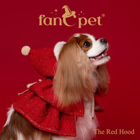 image_8BDCF035-29CC-4888-8E2E-0994159E8465_1762594054