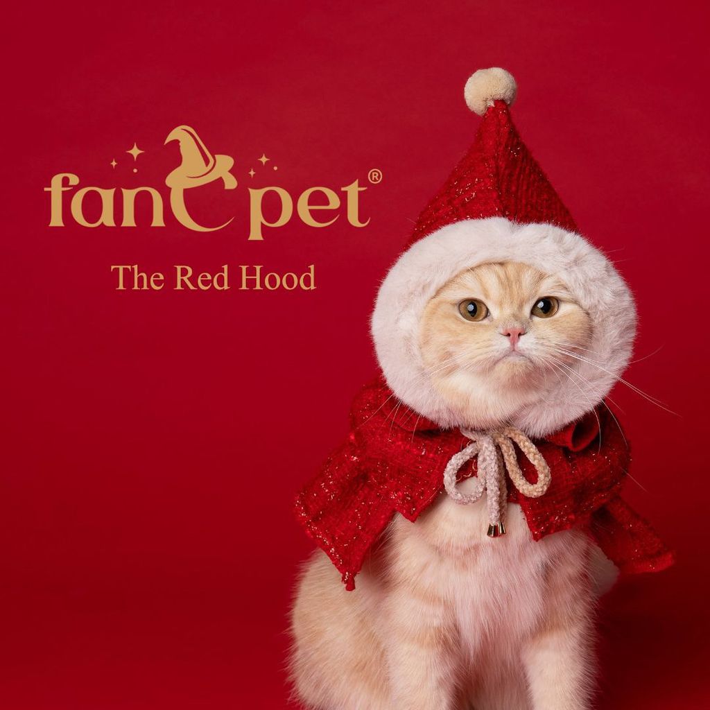 image_92BB60E4-AB03-4257-9212-CAD3FB3BF436_1762594054