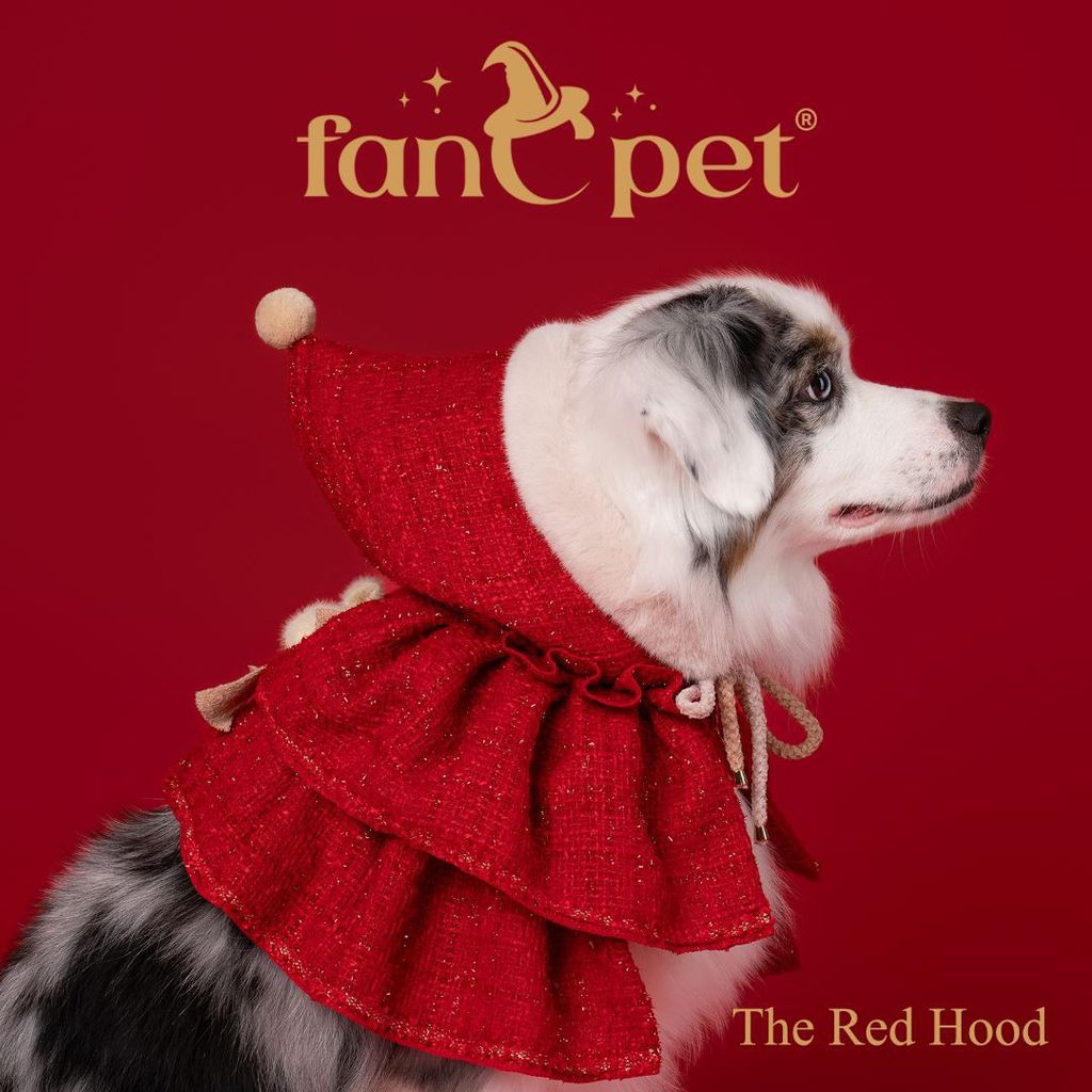 image_911803EB-1DA8-4D10-8072-2076A1A5F5E8_1762594054