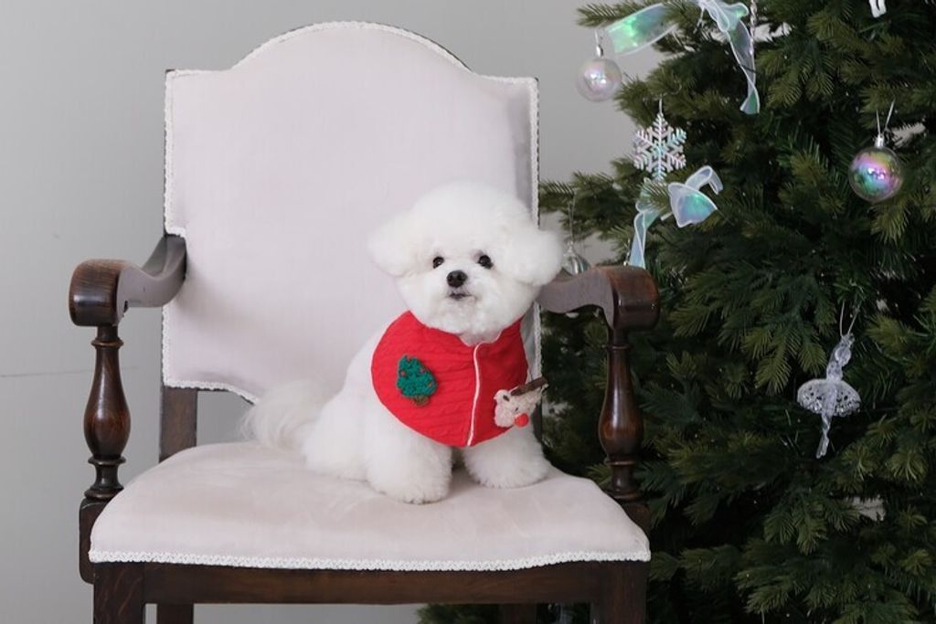 image_39AA1B2C-18C4-4C33-8072-D5E392FF0617_1762764775