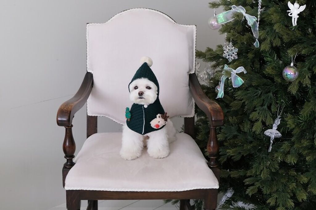 image_76A4E280-2B7A-45A6-B3D7-B6610BC742A1_1762764775