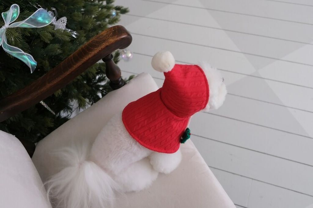 image_E6716355-D118-43C4-8C14-6EDC593E2B9E_1762764775