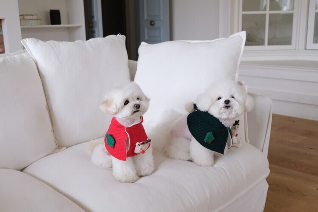 image_4C559E4B-076D-4AB2-A2A8-3CDAC7ABCAA2_1762764775