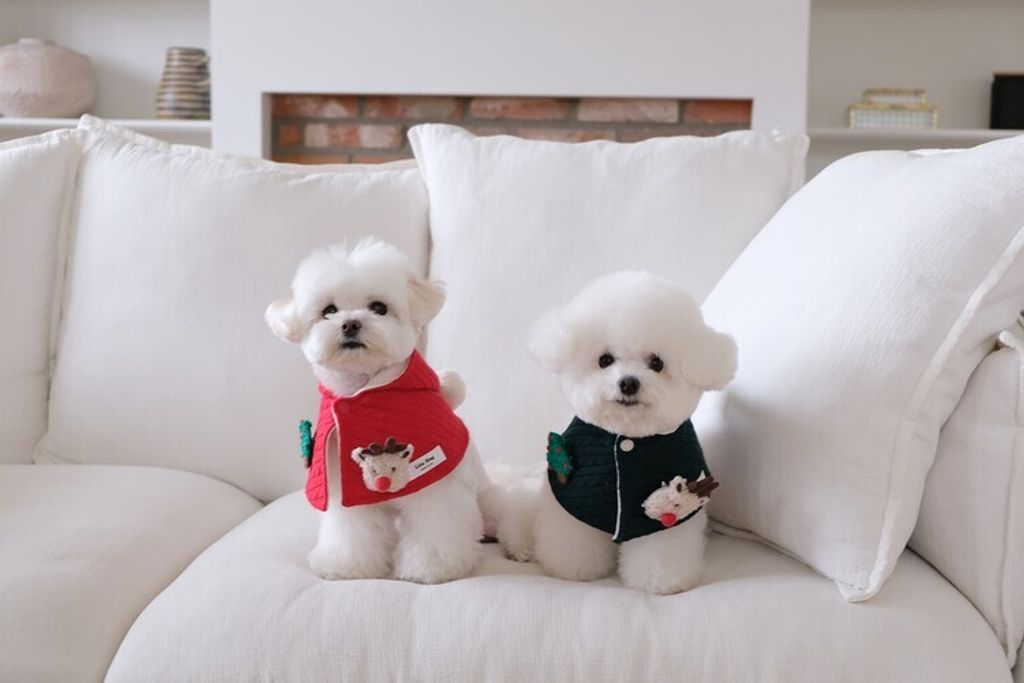 image_8633B020-C680-4108-A688-F58B3578B5E7_1762764775