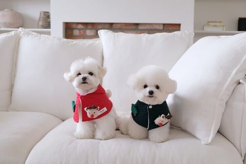 image_8633B020-C680-4108-A688-F58B3578B5E7_1762764775