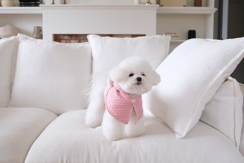 image_76EA1400-8CC9-4697-B641-51CE57D690CC_1762764997