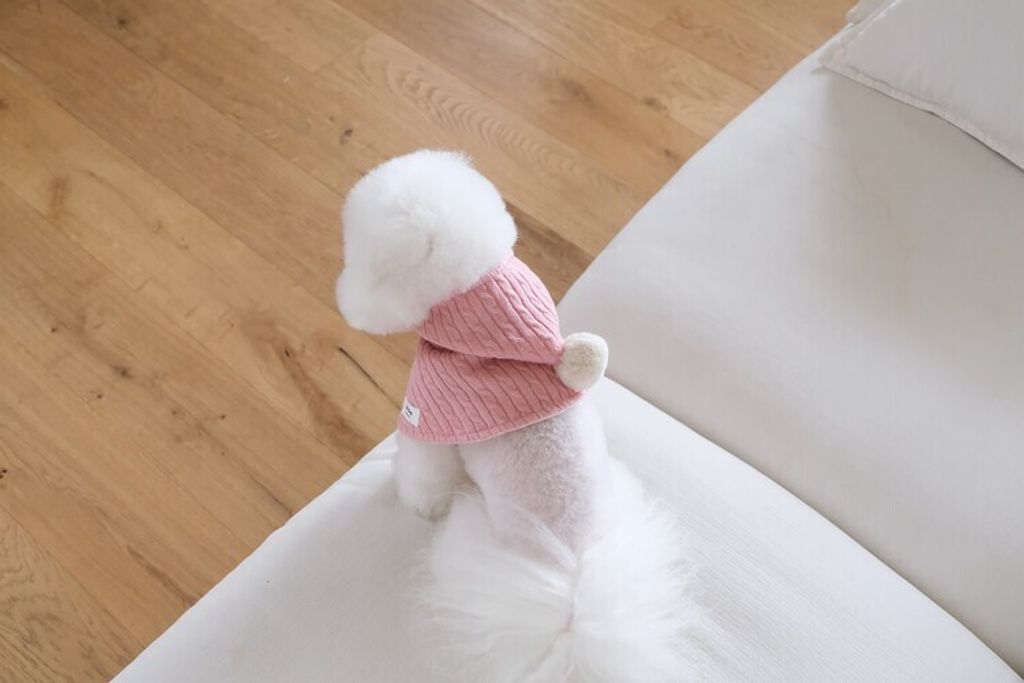 image_5215BA96-D5BE-4E75-B76E-0B6AED17300E_1762764997