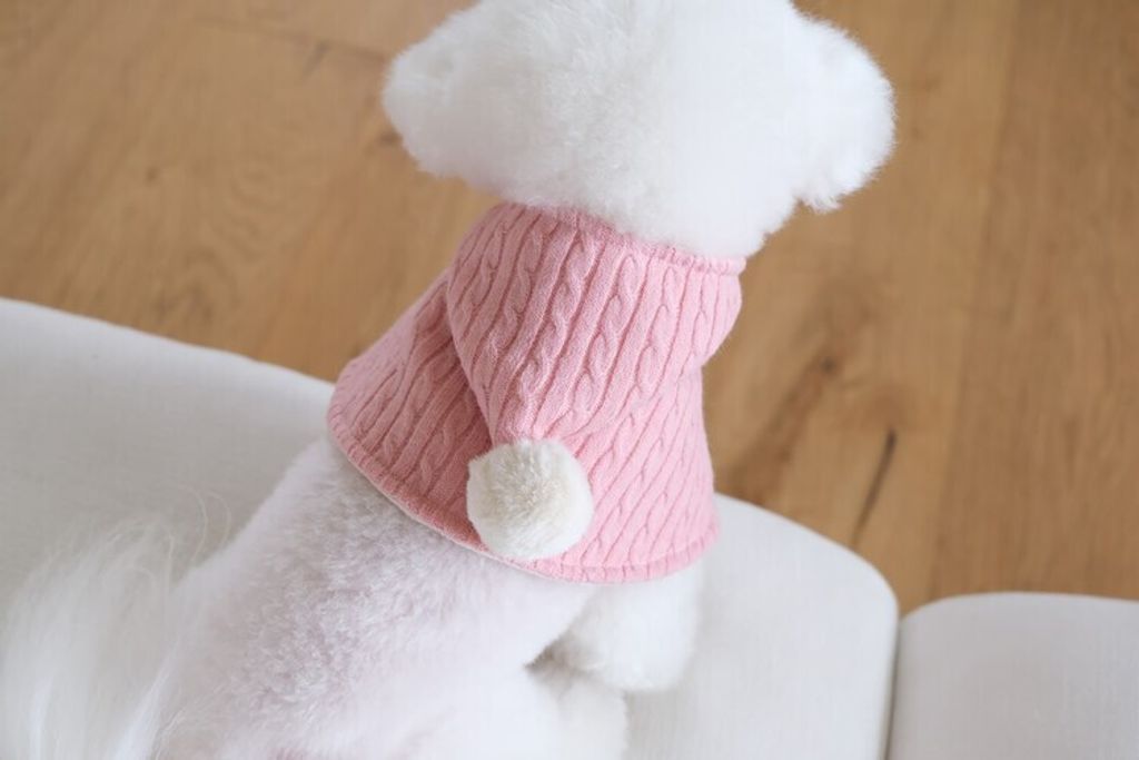 image_EC280EEA-A5AD-40DF-9D95-8627E55D78A1_1762764997