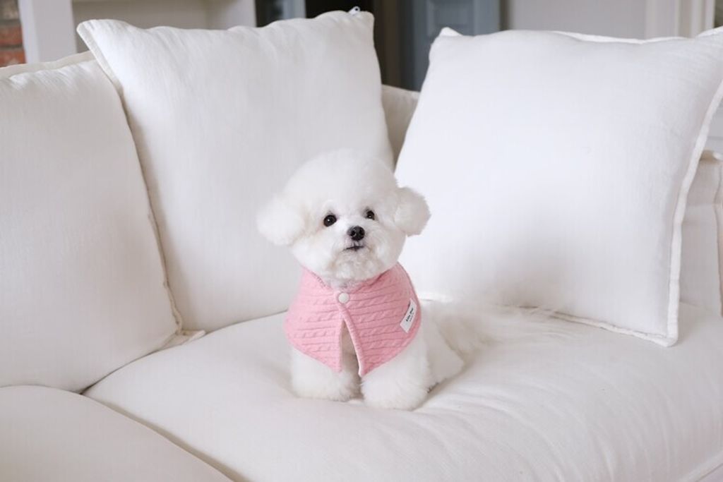 image_14248276-263C-4566-B977-9795E64239FB_1762764997