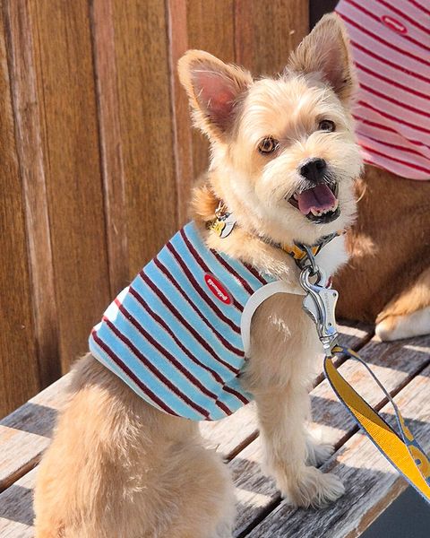 dbbd0e86d9d9ee740898800e84077832