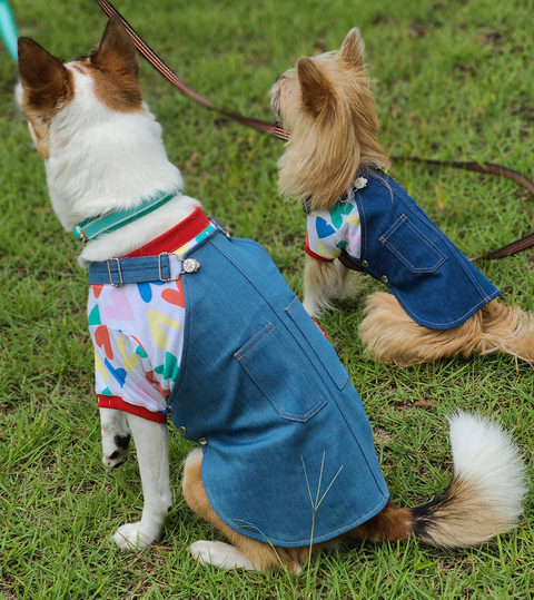 截圖 2025-11-10 下午7.56.53