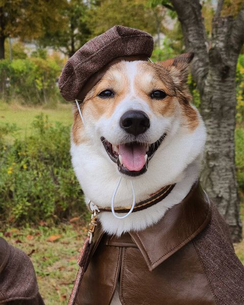 6d080185280391733793ae4658ea7908